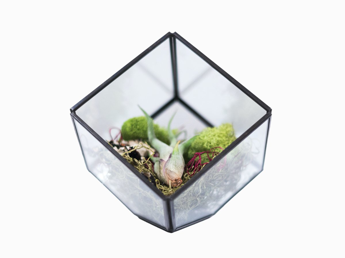 Флорариум "Куб"
